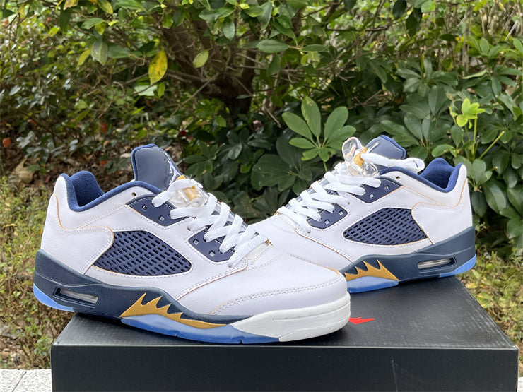 5 Retro Low Dunk From Above