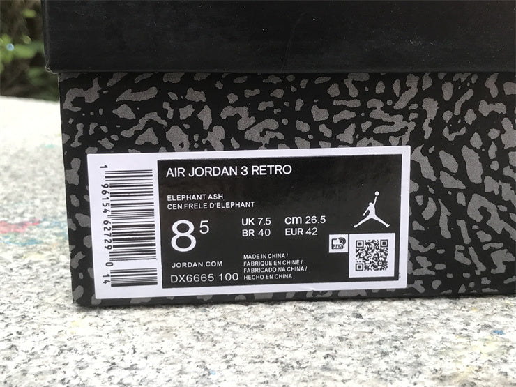 Air Jordan 3 Retro Hide N' Sneak (GS)