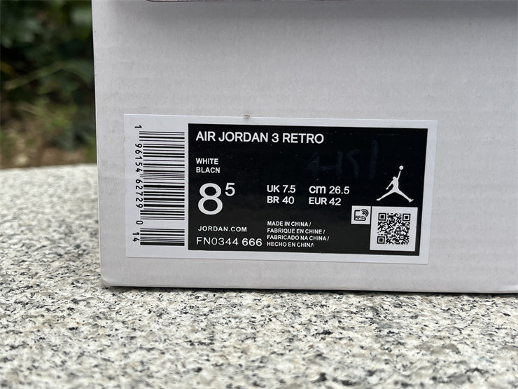 Air Jordan 3 Retro FN0344-666
