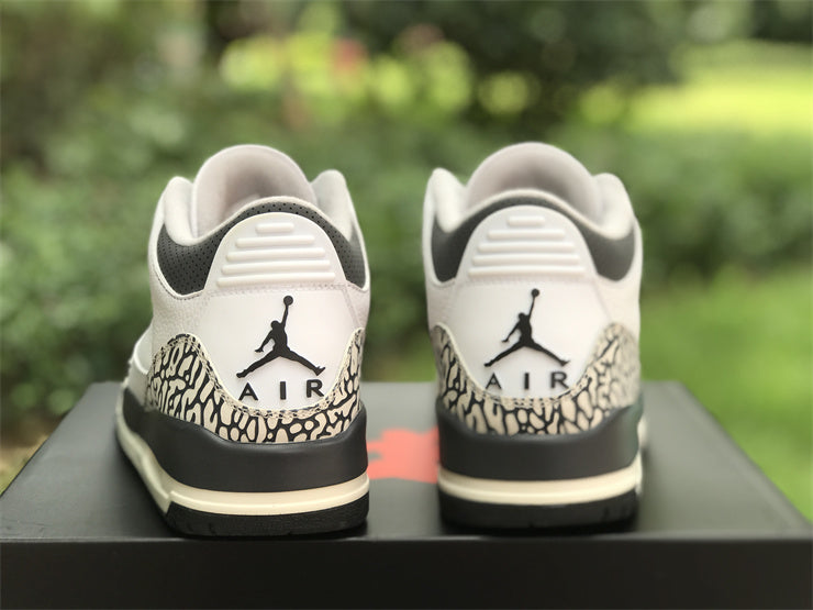 Air Jordan 3 Retro Hide N' Sneak (GS)