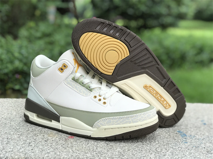 Air Jordan 3 Retro DX6660-800