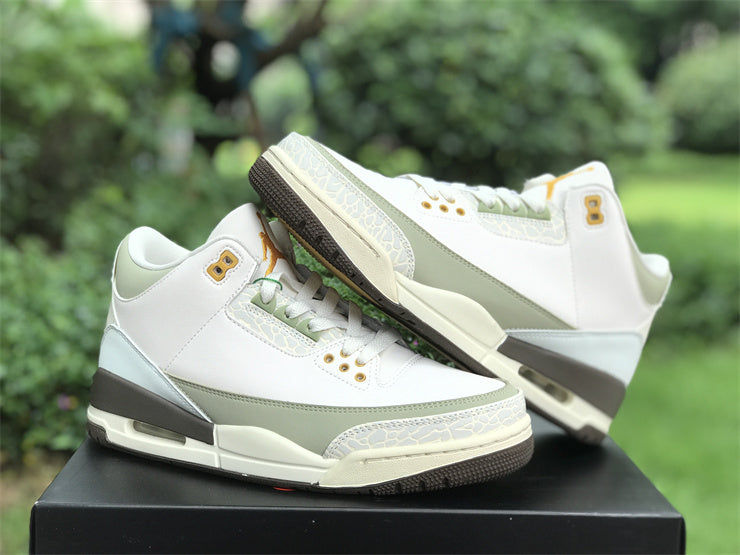 Air Jordan 3 Retro DX6660-800