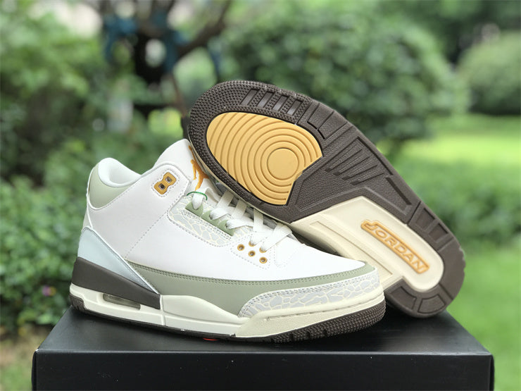 Air Jordan 3 Retro DX6660-800