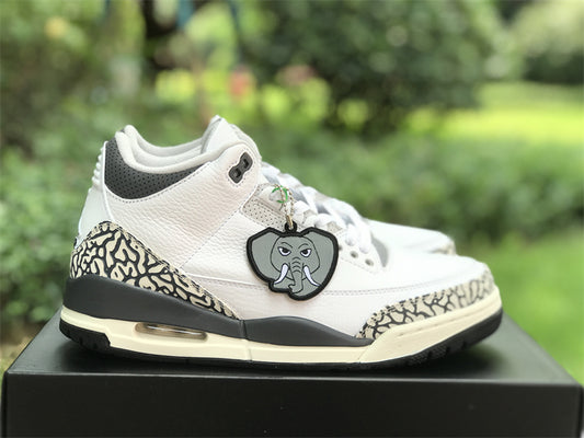 Air Jordan 3 Retro Hide N' Sneak (GS)