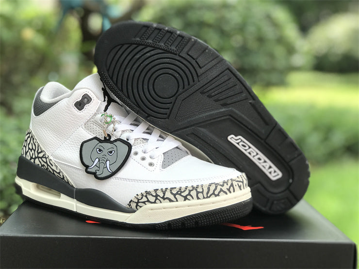 Air Jordan 3 Retro Hide N' Sneak (GS)