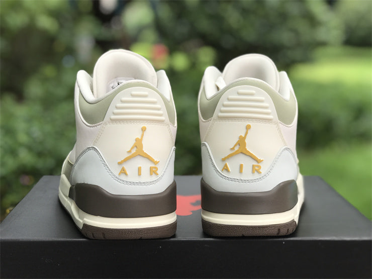 Air Jordan 3 Retro DX6660-800