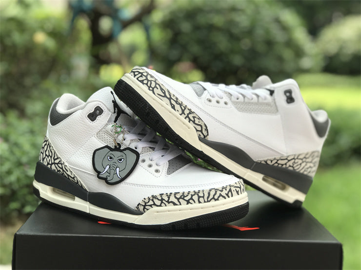 Air Jordan 3 Retro Hide N' Sneak (GS)