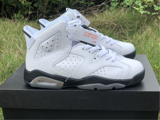 Air Jordan 6 Retro Alligator (GS)