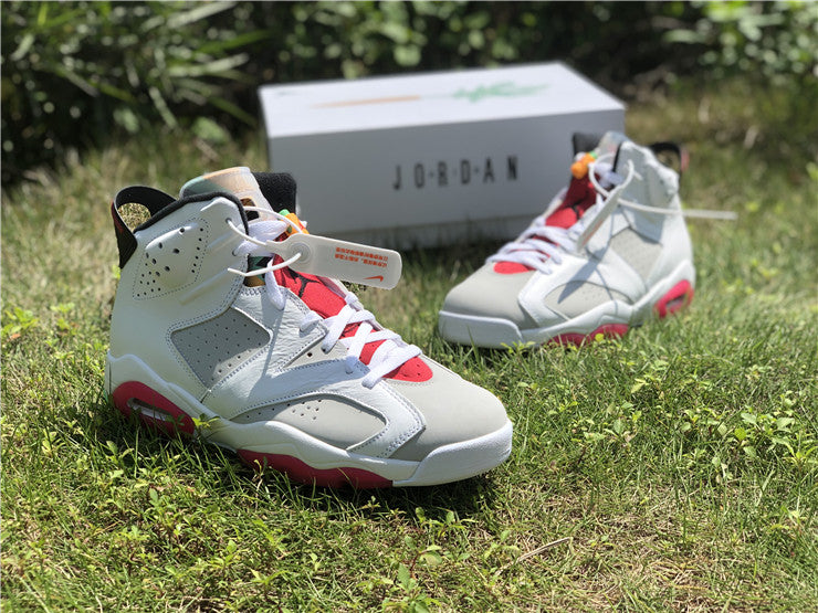 Air Jordan 6 Retro Hare