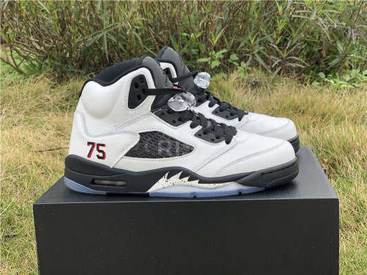 Air Jordan 5 Retro Paris