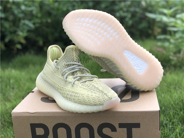 Adidas Yeezy Boost 350 V2 Antlia (Reflective)