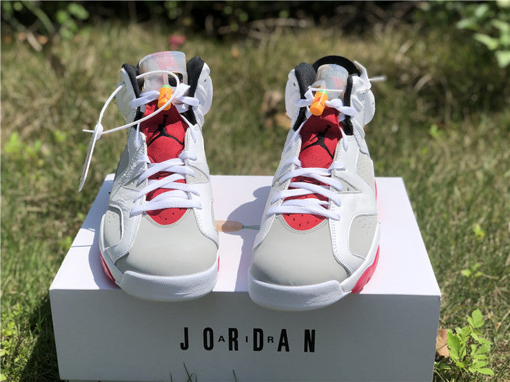 Air Jordan 6 Retro Hare