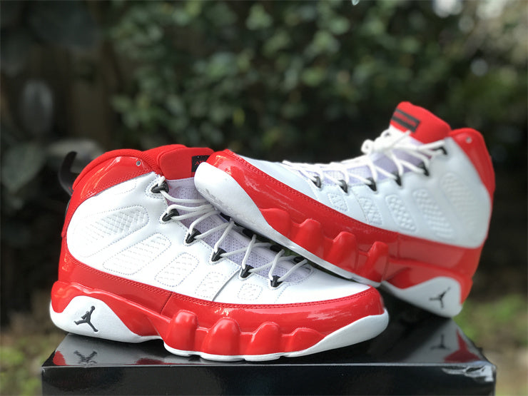 Air Jordan 9 Retro White Gym Red