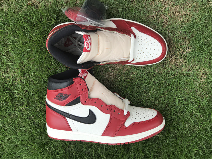 Air Jordan 1 Retro High OG Lost and Found (GS)