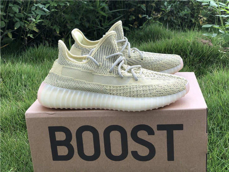 Adidas Yeezy Boost 350 V2 Antlia (Reflective)