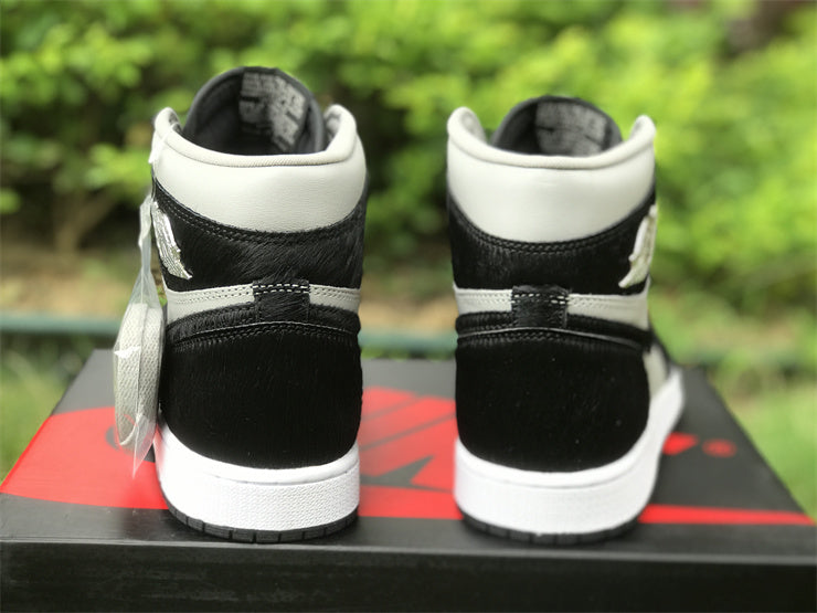 Air Jordan 1 Retro High OG Twist 2.0 (W)