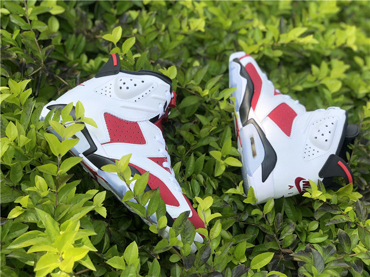 Air Jordan 6 Retro Carmine (2014)