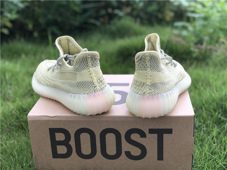 Adidas Yeezy Boost 350 V2 Antlia (Reflective)