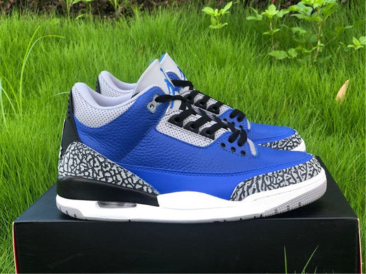 Air Jordan 3 Retro Varsity Royal Cement CT8532-400