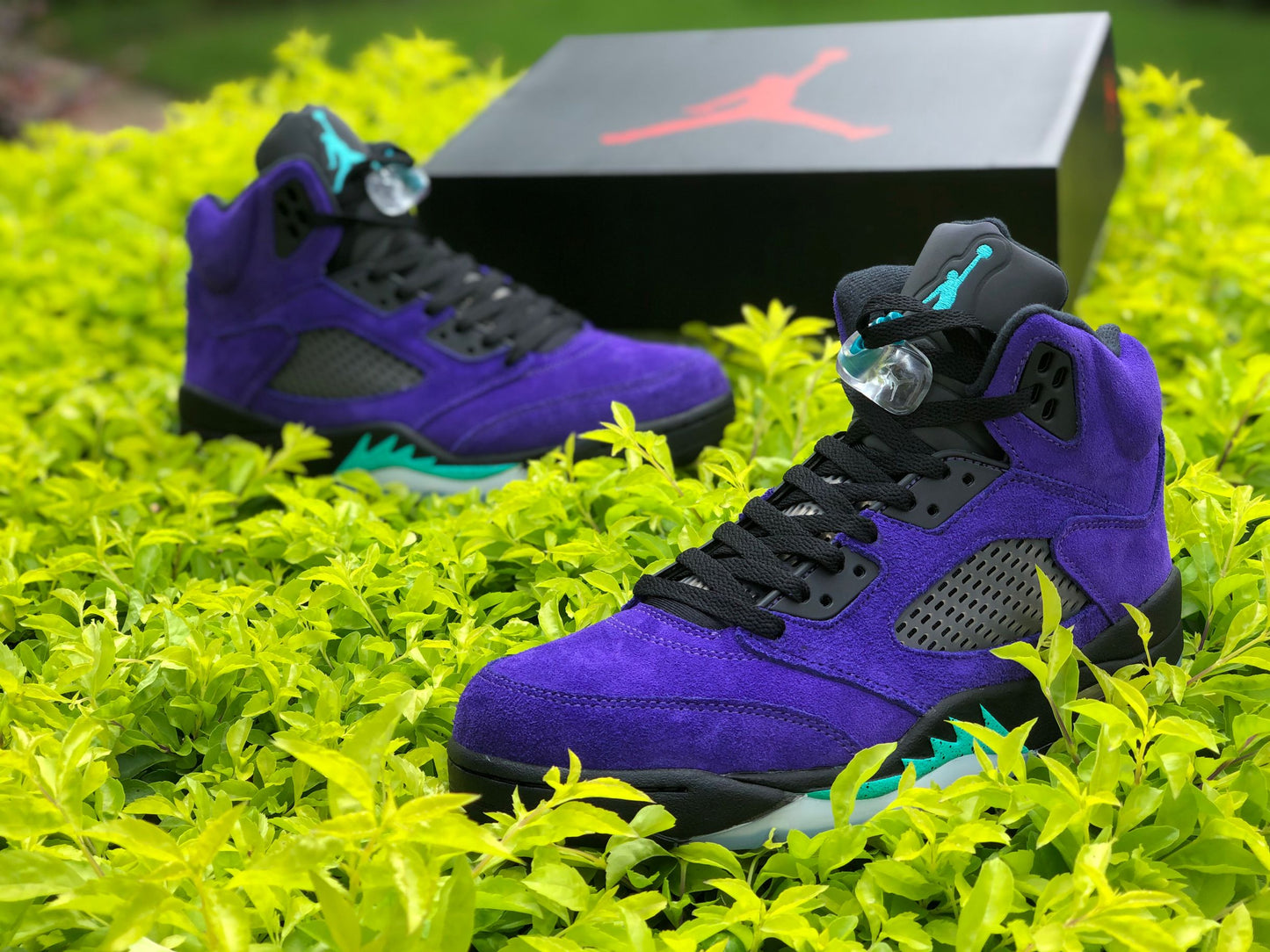 Air Jordan 5 Retro Alternate Grape