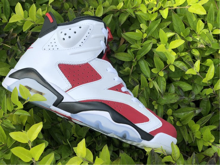 Air Jordan 6 Retro Carmine (2014)