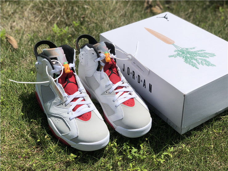 Air Jordan 6 Retro Hare