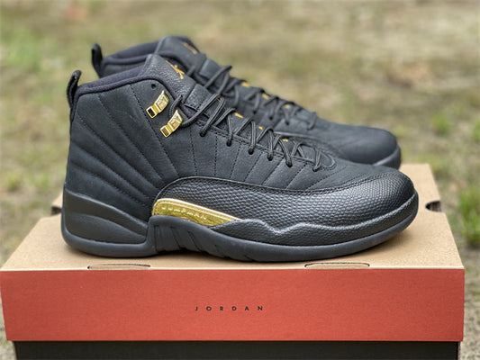 Air Jordan 12 Retro CT8013-071