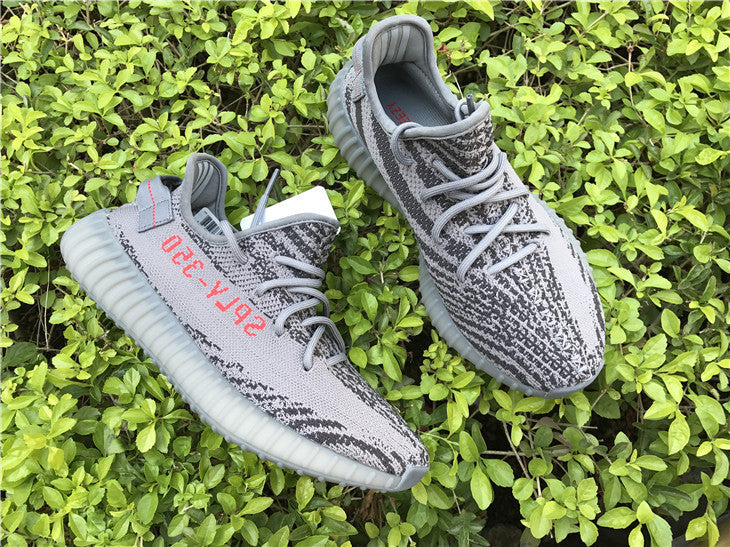 Adidas Yeezy Boost 350 V2 Beluga 2.0