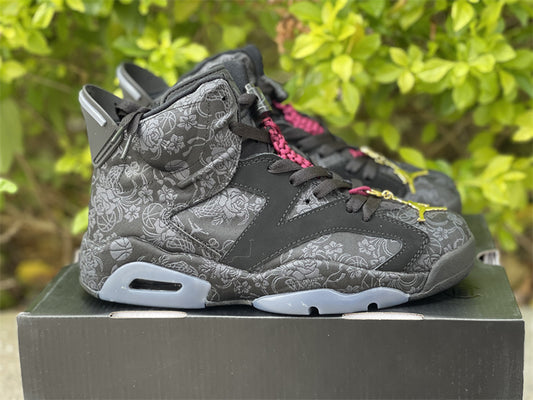 Air Jordan 6 Retro Single Day