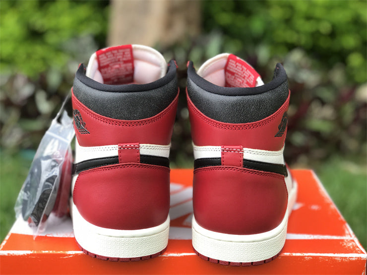 Air Jordan 1 Retro High OG Lost and Found (GS)