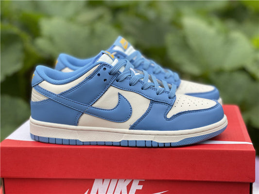 Nike Dunk Low Coast (W)