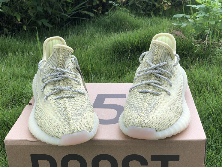 Adidas Yeezy Boost 350 V2 Antlia (Reflective)