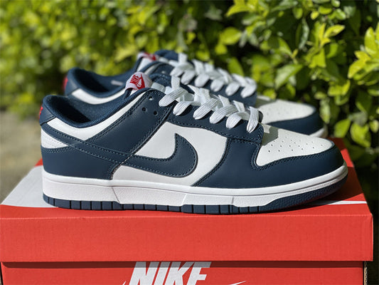 Nike Dunk Low Valerian Blue